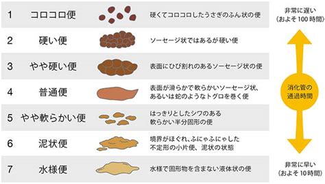 水便原因|水下痢が続く原因は？急性胃腸炎など病気の可能性も…